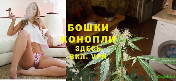 крисы Ростов