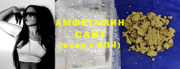 индика Саяногорск